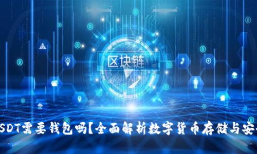 USDT需要钱包吗？全面解析数字货币存储与安全