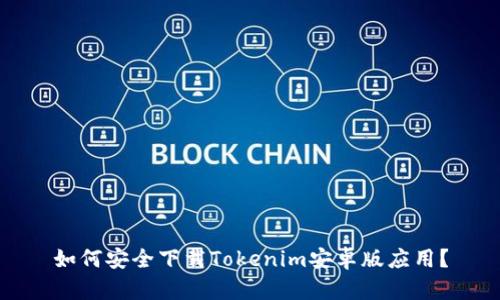 如何安全下载Tokenim安卓版应用？