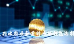 全面解析：支持比特币和莱特币的钱包选择与使