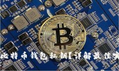 怎么安全提取比特币钱包
