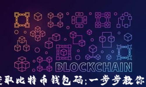 
  如何获取比特币钱包码：一步步教你轻松完成