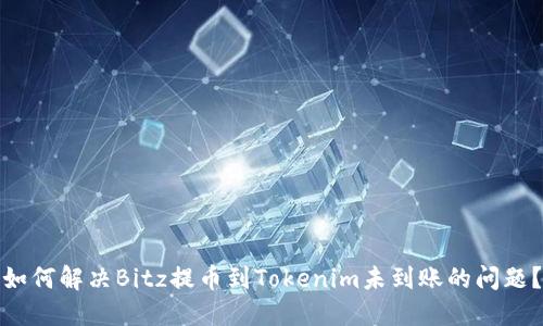 如何解决Bitz提币到Tokenim未到账的问题？