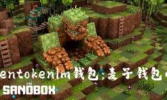 全面解读Tokentokenim钱包：