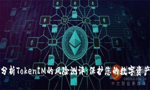 深入分析TokenIM的风险测评：保护您的数字资产安全