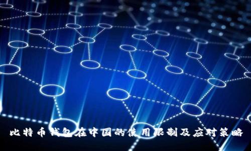 比特币钱包在中国的使用限制及应对策略
