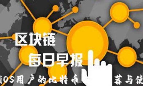 
最适合iOS用户的比特币钱包推荐与使用指南