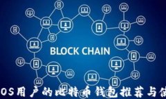 最适合iOS用户的比特币钱包推荐与使用指南