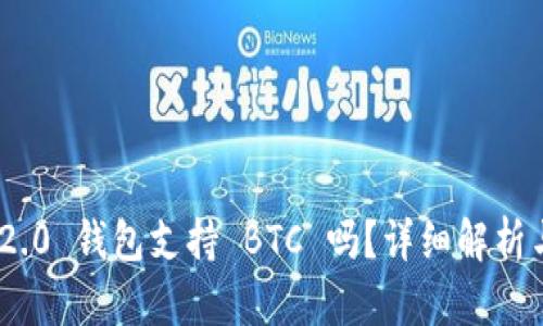 Tokenim 2.0 钱包支持 BTC 吗？详细解析与使用指南