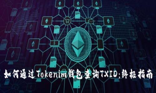 如何通过Tokenim钱包查询TXID：终极指南