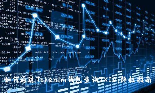 如何通过Tokenim钱包查询TXID：终极指南