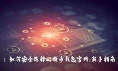 : 如何安全选择比特币钱包官网：新手指南