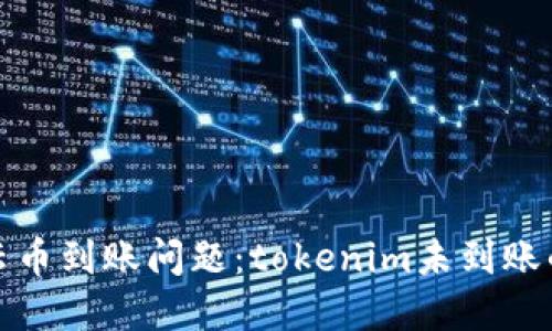 如何处理云币到账问题：tokenim未到账的解决方案