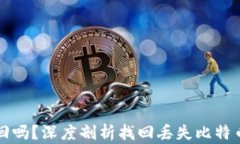 比特币钱包丢了能找回吗