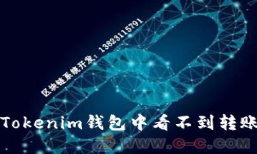 如何解决Tokenim钱包中看不到转账币的问题