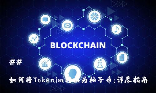 ## 

如何将Tokenim转换为柚子币：详尽指南