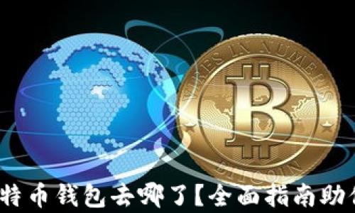 
重装系统后，比特币钱包去哪了？全面指南助你找回数字财富