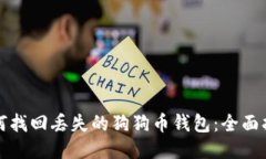 如何找回丢失的狗狗币钱