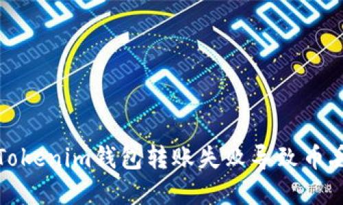 如何解决Tokenim钱包转账失败导致币丢失的问题