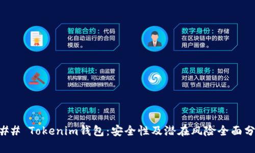 ### Tokenim钱包：安全性及潜在风险全面分析