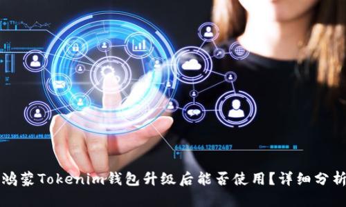 ### 鸿蒙Tokenim钱包升级后能否使用？详细分析与解读