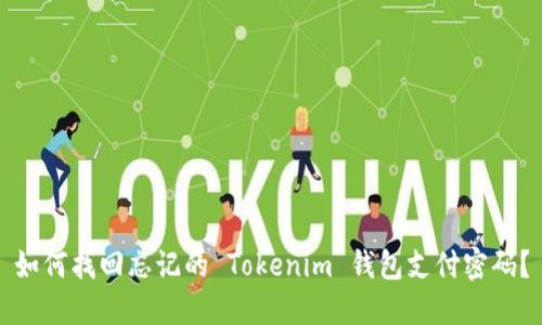 如何找回忘记的 Tokenim 钱包支付密码？