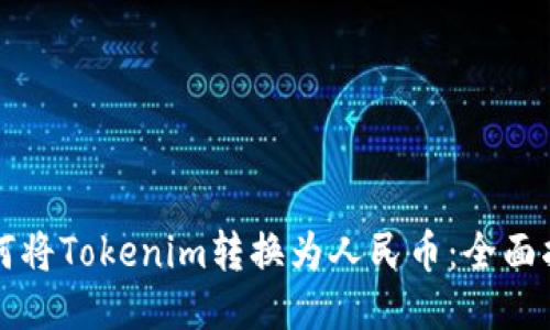 如何将Tokenim转换为人民币：全面指南