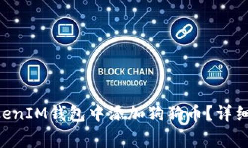 如何在TokenTokenIM钱包中添加狗狗币？详细指南与注意事项