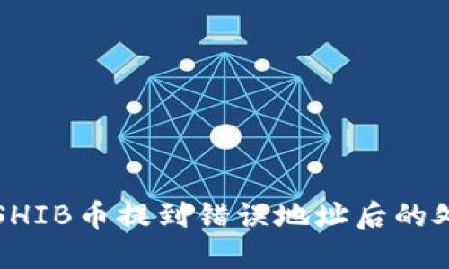 如何将SHIB币提到错误地址后的处理方法