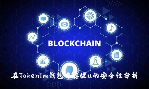 在Tokenim钱包中存放u的安全性分析