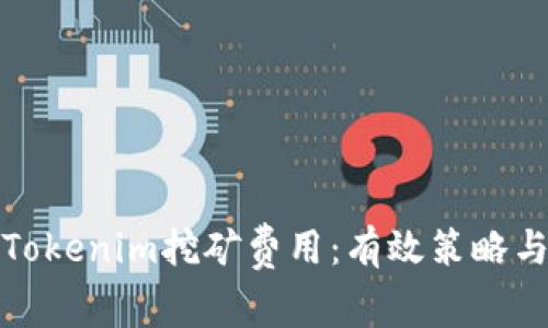 如何降低Tokenim挖矿费用:有效策略与实用技巧