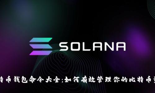 比特币钱包命令大全：如何有效管理你的比特币资产