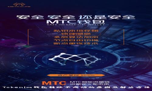 Tokenim钱包转账不成功的原因及解决方法