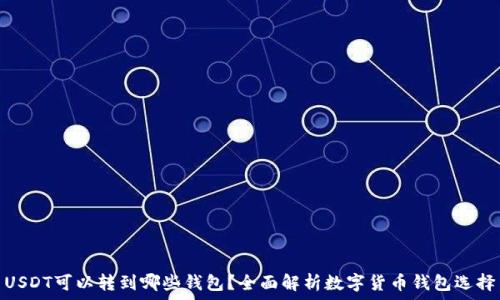   
USDT可以转到哪些钱包？全面解析数字货币钱包选择