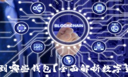   
USDT可以转到哪些钱包？全面解析数字货币钱包选择