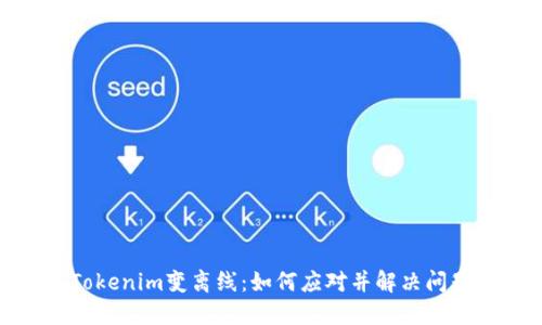 Tokenim变离线：如何应对并解决问题