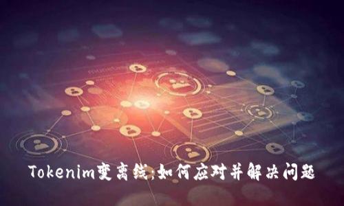 Tokenim变离线：如何应对并解决问题