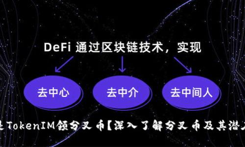 什么是TokenIM领分叉币?深入了解分叉币及其潜在价值
