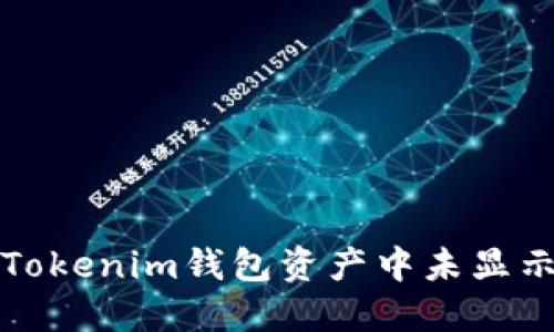如何解决Tokenim钱包资产中未显示的币问题