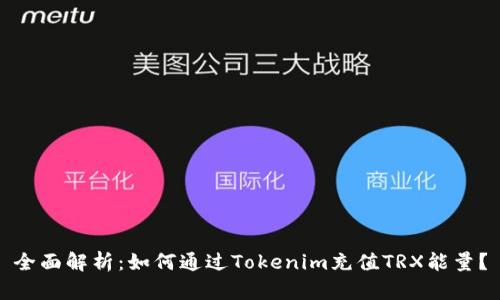 全面解析：如何通过Tokenim充值TRX能量？