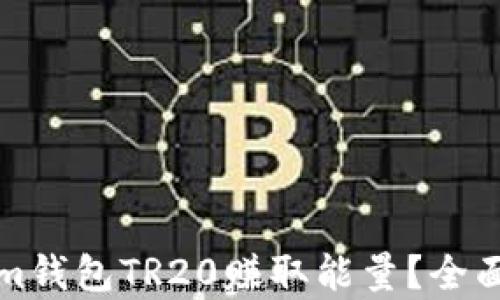 
如何利用Tokenim钱包TR20赚取能量？全面解析和实用指南