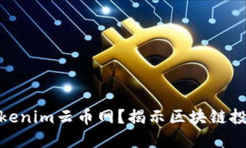 什么是Tokenim云币网？揭示区块链投资新机遇