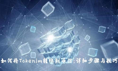 如何将Tokenim转账到币信：详细步骤与技巧