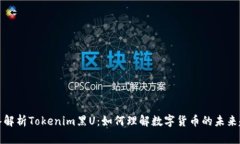深入解析Tokenim黑U：如何理