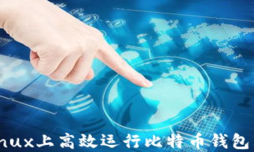 如何在Linux上高效运行比特币钱包:全面指南