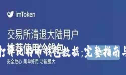 如何打开比特币钱包数据：完整指南与技巧