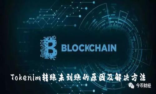 Tokenim转账未到账的原因及解决方法