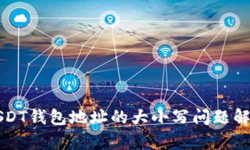 USDT钱包地址的大小写问题解析