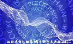 比特币钱包推荐：哪个钱