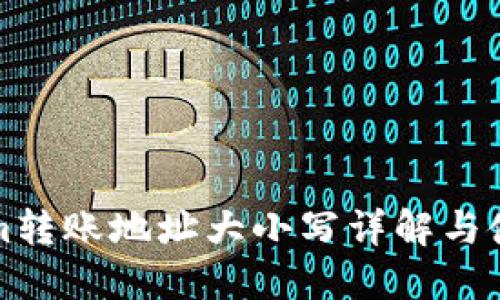 Tokenim转账地址大小写详解与使用指南