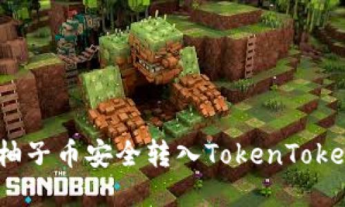 : 如何将柚子币安全转入TokenTokenim钱包？